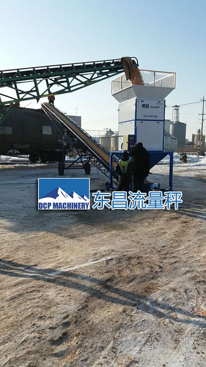 吉林糧食流量秤DCS-L100，50